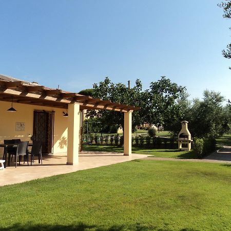 Agriturismo Dallolivo Bolgheri Esterno foto