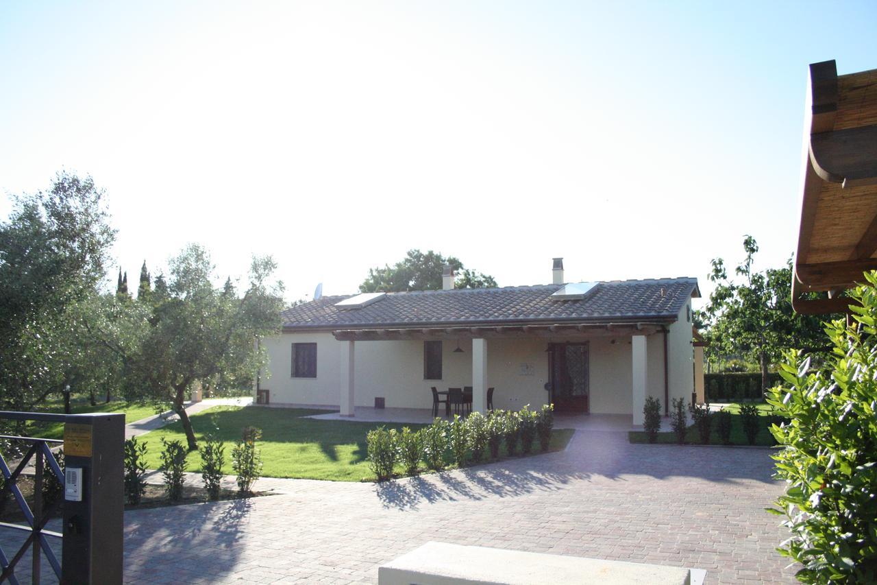 Agriturismo Dallolivo Bolgheri Esterno foto