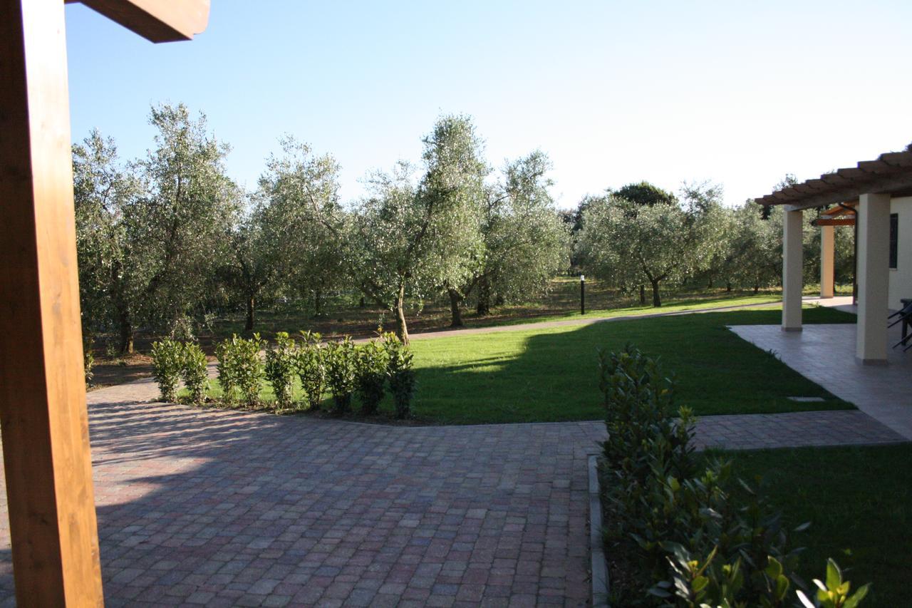 Agriturismo Dallolivo Bolgheri Esterno foto