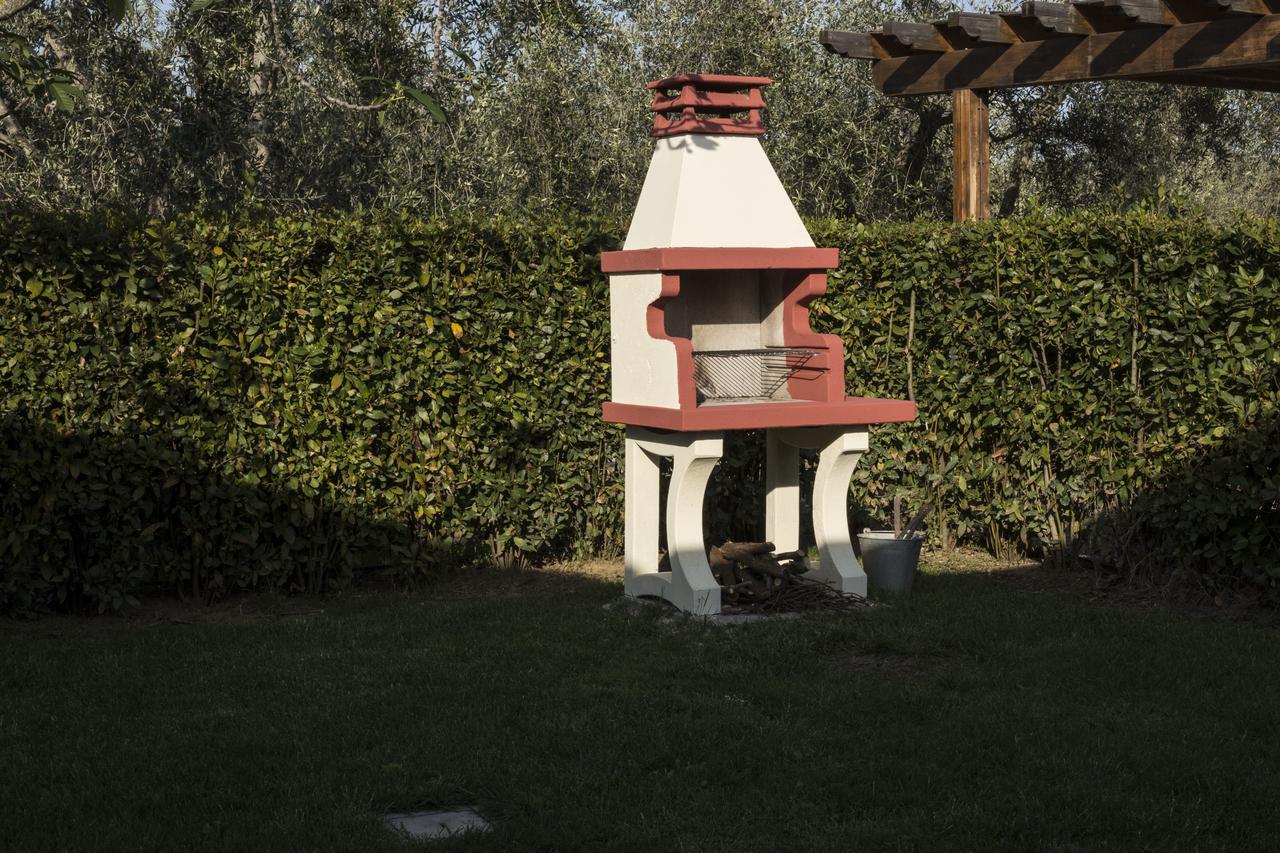 Agriturismo Dallolivo Bolgheri Esterno foto