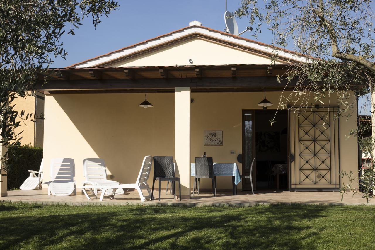 Agriturismo Dallolivo Bolgheri Esterno foto